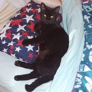 Meet your Posher, Kelsey